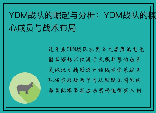 YDM战队的崛起与分析:YDM战队的核心成员与战术布局