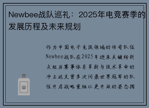 Newbee战队巡礼：2025年电竞赛季的发展历程及未来规划